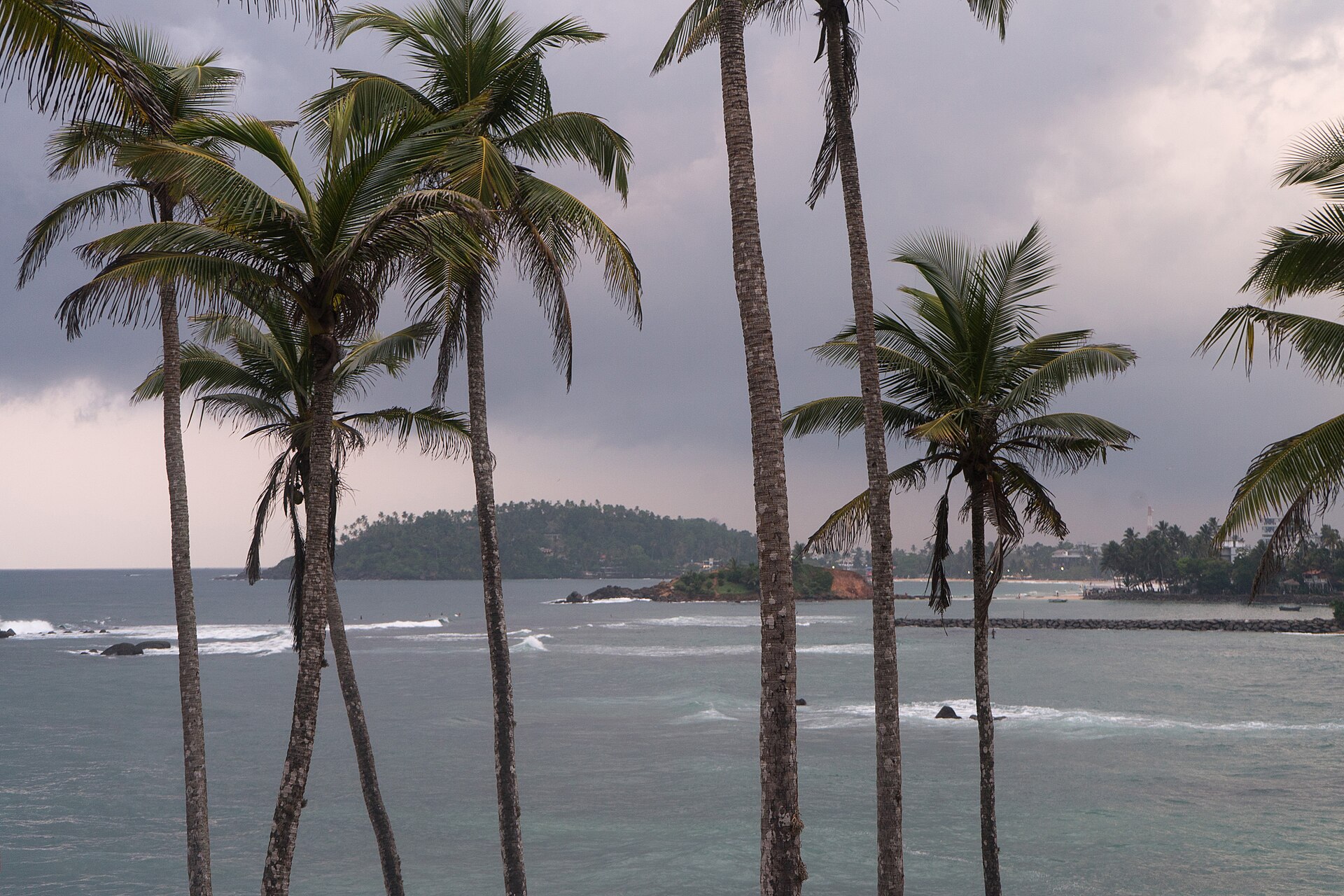 Curved sandy bay and palm trees at Mirissa on Sri Lanka's south coast