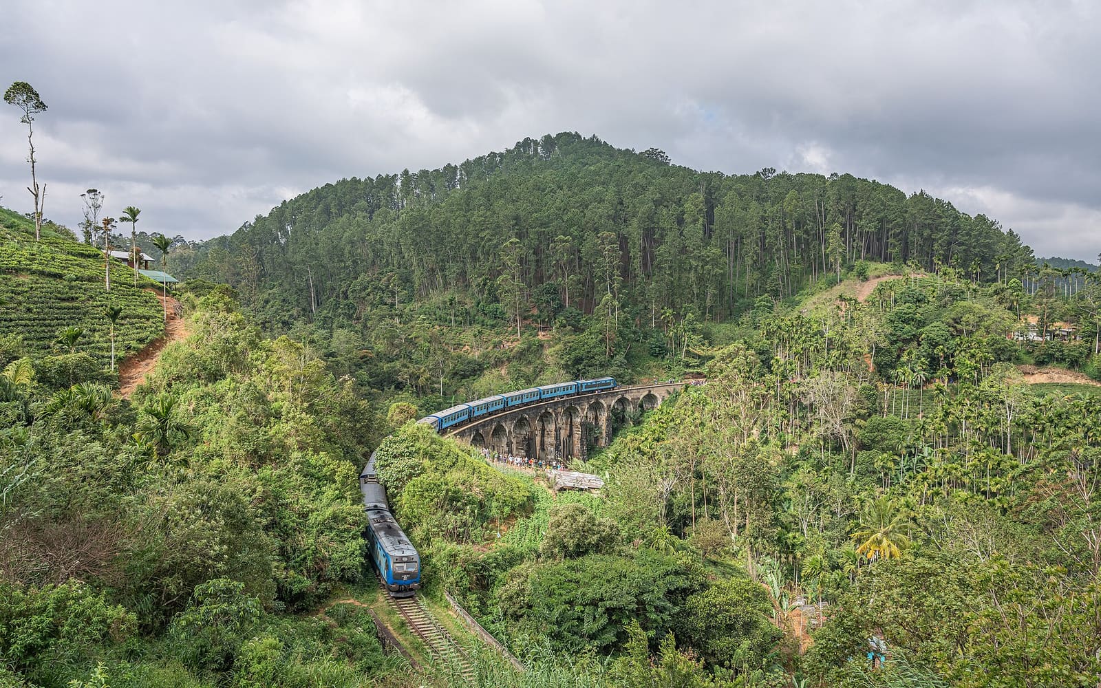 Spectacular view of Demodara Nine Arch Bridge in Ella surrounded by lush tea hills